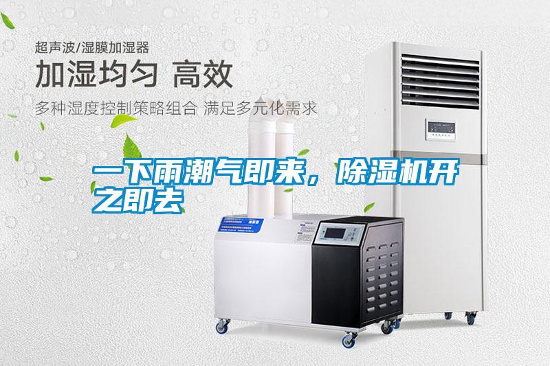 一下雨潮氣即來，除濕機開之即去