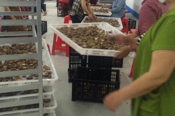 1568602300486313.jpg 3f1e67be2b354dcf842fd5b66b26da17.jpg