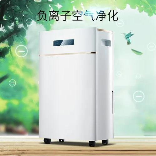 開學季寢室潮濕臟亂，安詩曼除濕機為家長擺平擔憂的潮濕問題