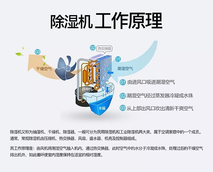 潮濕天氣狗最容易患上這種毛病!三個注意事項,鏟屎官一定要看看