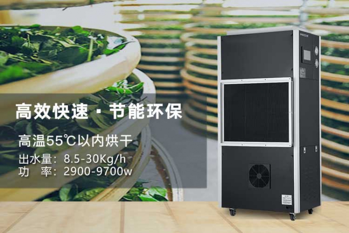 潮濕天氣來襲,螨蟲爆滿床!