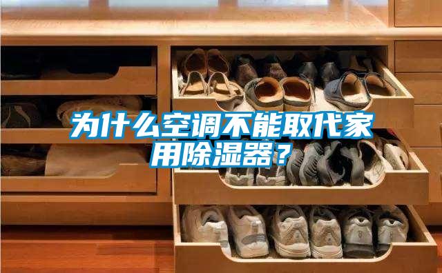 為什么空調不能取代家用除濕器?