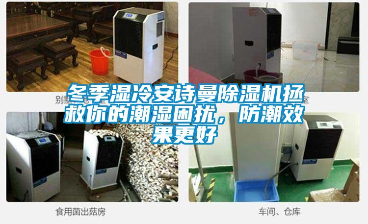 冬季濕冷安詩曼除濕機拯救你的潮濕困擾，防潮效果更好