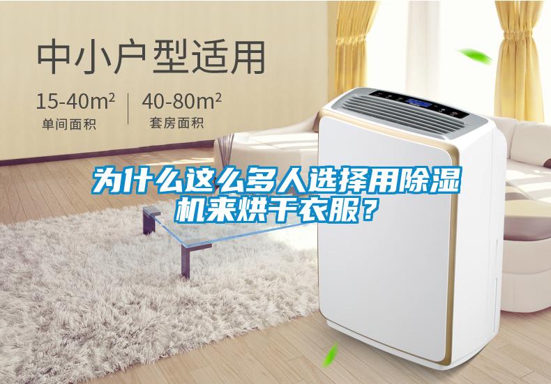 為什么這么多人選擇用除濕機來烘干衣服?