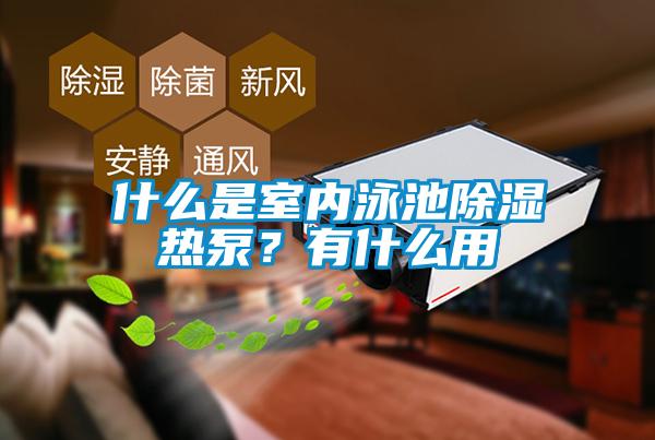 什么是室內(nèi)泳池除濕熱泵？有什么用