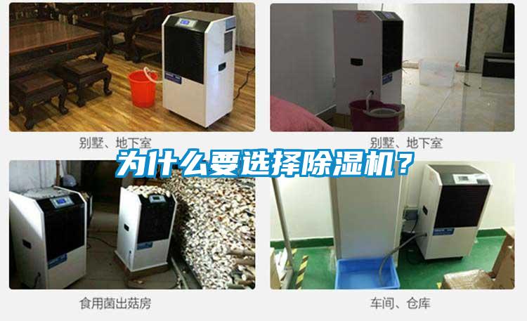 為什么要選擇除濕機?