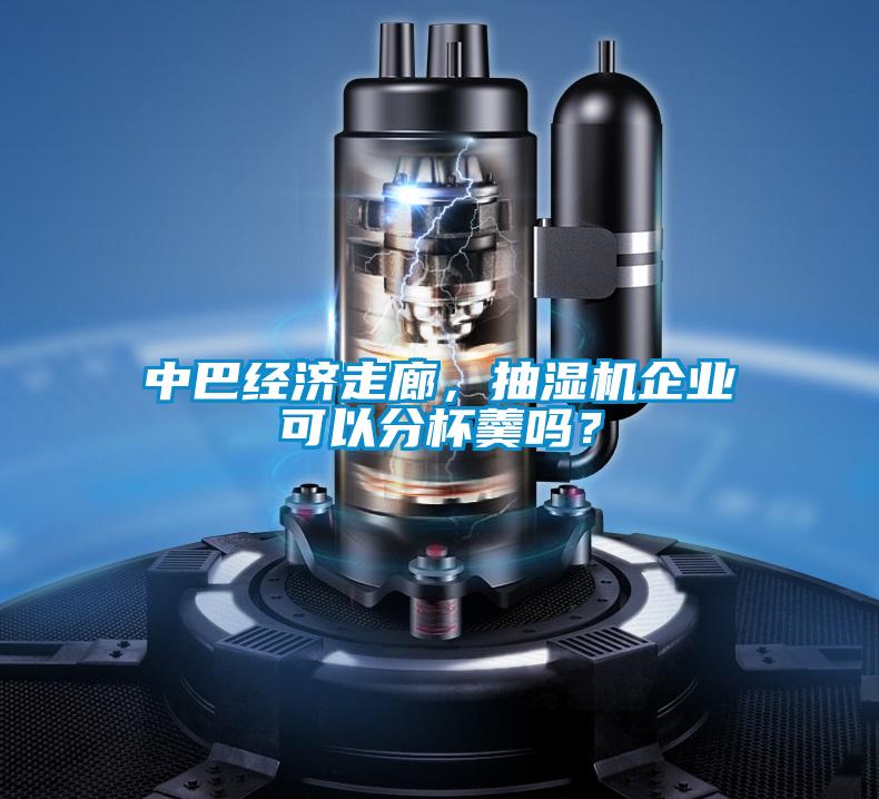 中巴經濟走廊，抽濕機企業可以分杯羹嗎？