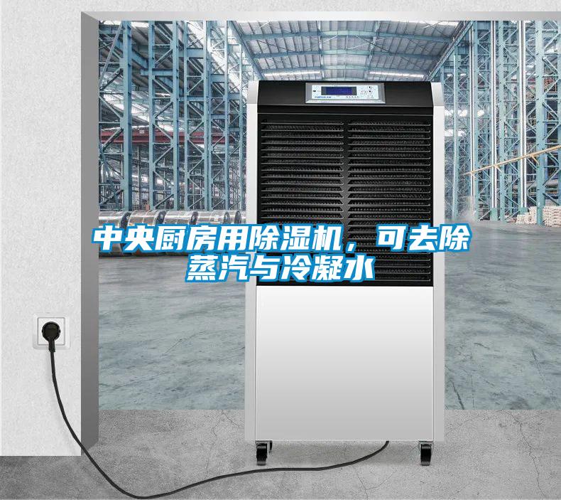 中央廚房用除濕機，可去除蒸汽與冷凝水