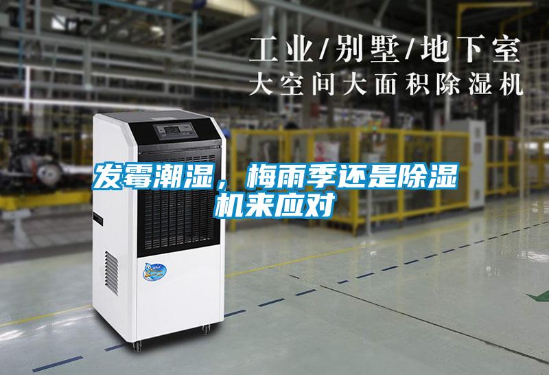 發霉潮濕，梅雨季還是除濕機來應對