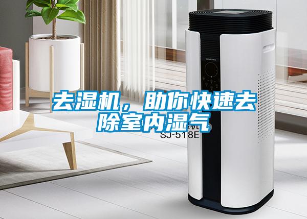 去濕機，助你快速去除室內濕氣