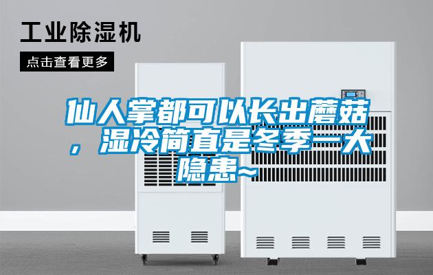 仙人掌都可以長(zhǎng)出蘑菇，濕冷簡(jiǎn)直是冬季一大隱患~