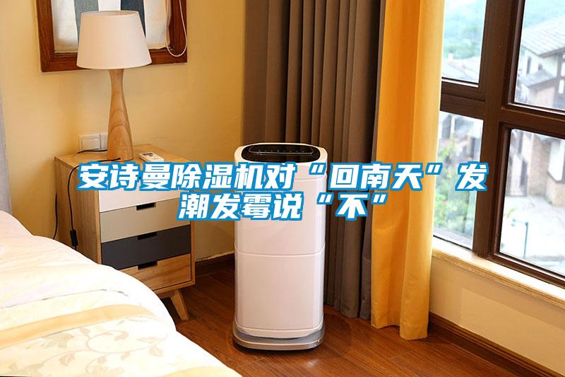 安詩(shī)曼除濕機(jī)對(duì)“回南天”發(fā)潮發(fā)霉說“不”