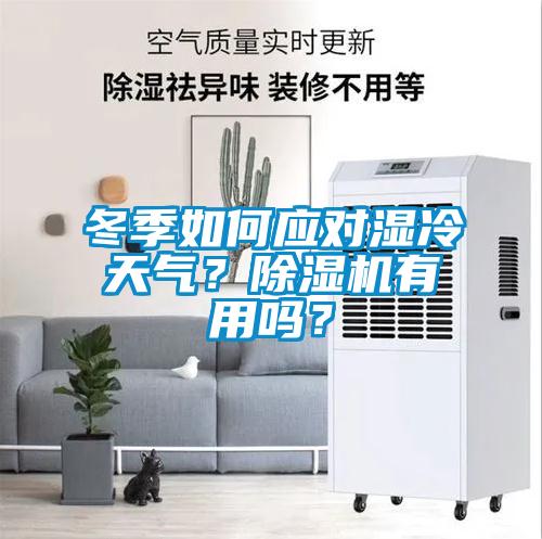 冬季如何應(yīng)對(duì)濕冷天氣？除濕機(jī)有用嗎？