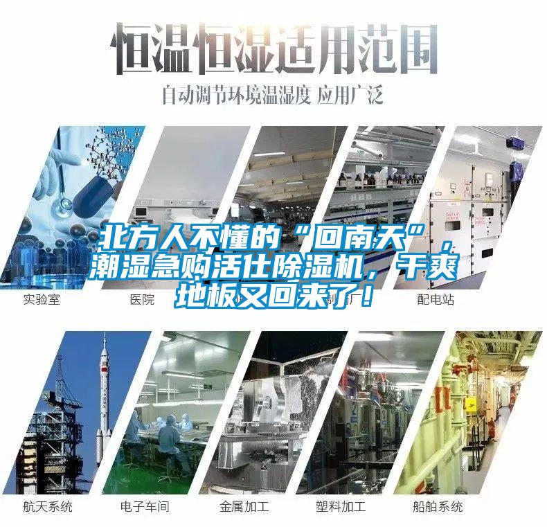 北方人不懂的“回南天”，潮濕急購活仕除濕機，干爽地板又回來了！