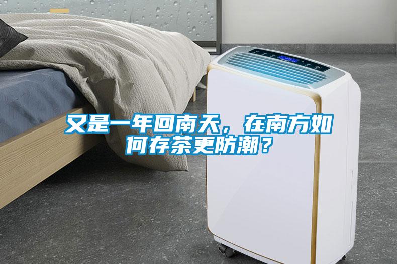 又是一年回南天，在南方如何存茶更防潮？