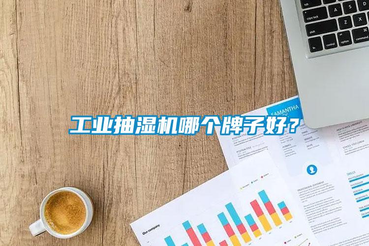 工業(yè)抽濕機(jī)哪個牌子好？