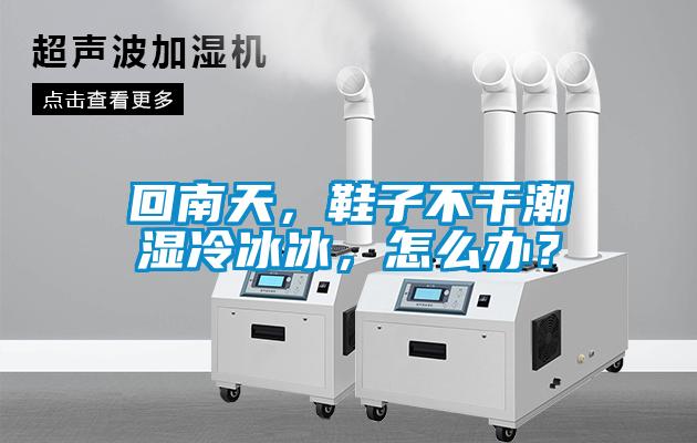 回南天,鞋子不干潮濕冷冰冰,怎么辦?