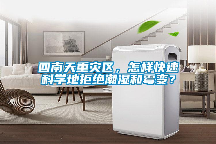 回南天重災區(qū),怎樣快速科學地拒絕潮濕和霉變?