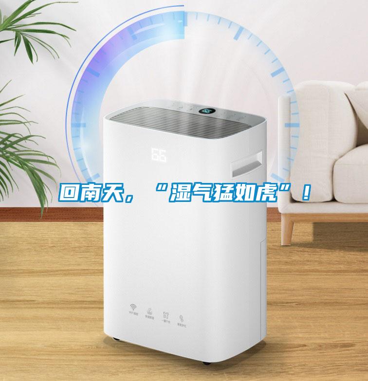 回南天,“濕氣猛如虎”!