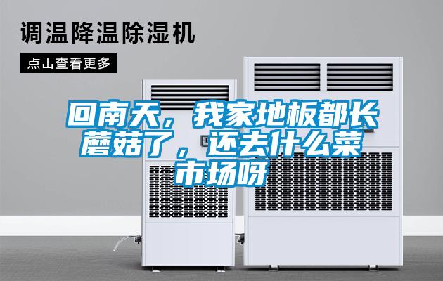 回南天，我家地板都長蘑菇了，還去什么菜市場呀