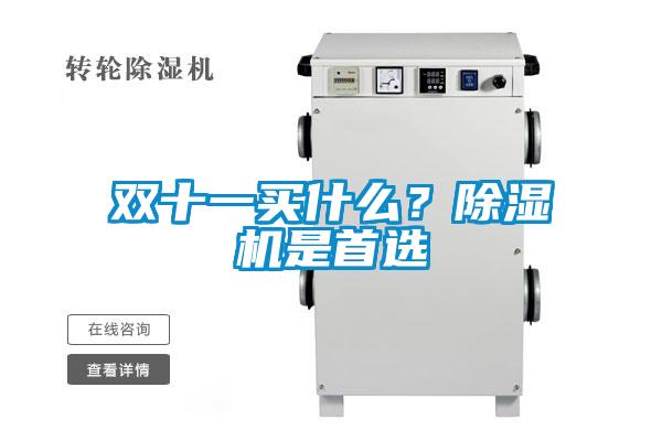 雙十一買什么?除濕機(jī)是首選