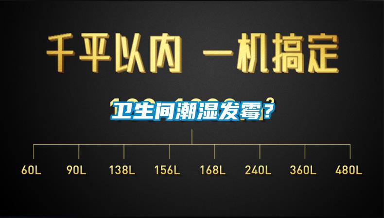 衛生間潮濕發霉?