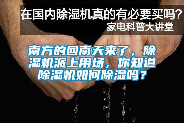 南方的回南天來了,除濕機派上用場,你知道除濕機如何除濕嗎?
