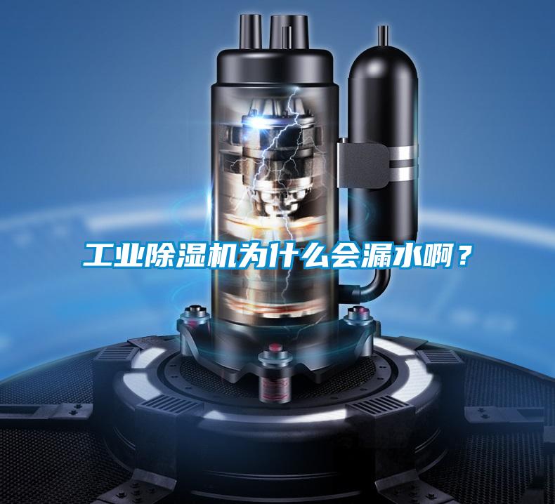 工業(yè)除濕機為什么會漏水啊？