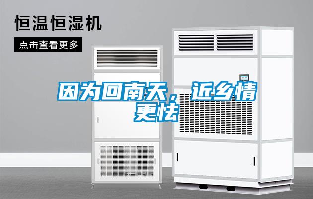 因?yàn)榛啬咸?，近鄉(xiāng)情更怯