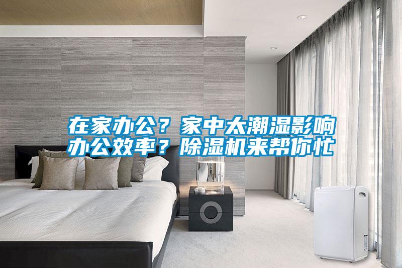 在家辦公?家中太潮濕影響辦公效率?除濕機(jī)來幫你忙