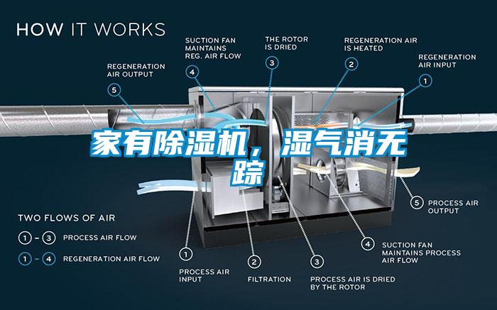 家有除濕機,濕氣消無蹤