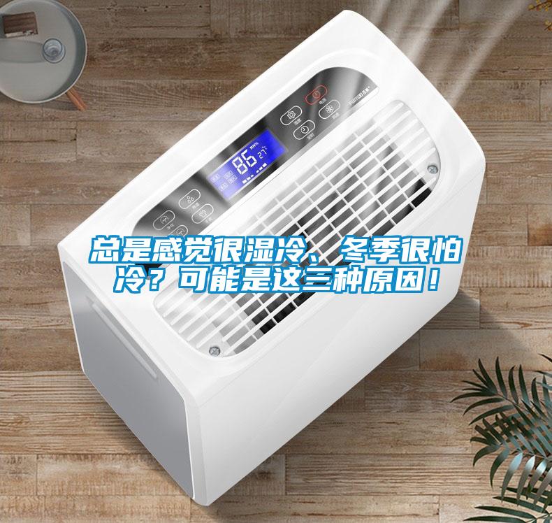 總是感覺很濕冷、冬季很怕冷?可能是這三種原因!