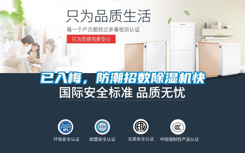 已入梅,防潮招數(shù)除濕機快