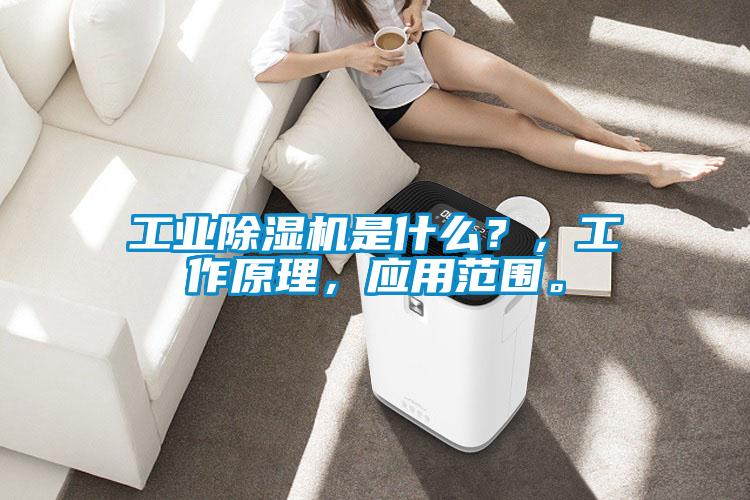 工業(yè)除濕機(jī)是什么?,工作原理,應(yīng)用范圍。