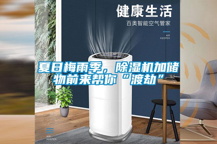 夏日梅雨季，除濕機(jī)加儲(chǔ)物前來幫你“渡劫”