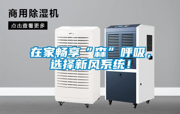 在家暢享“森”呼吸,選擇新風(fēng)系統(tǒng)!