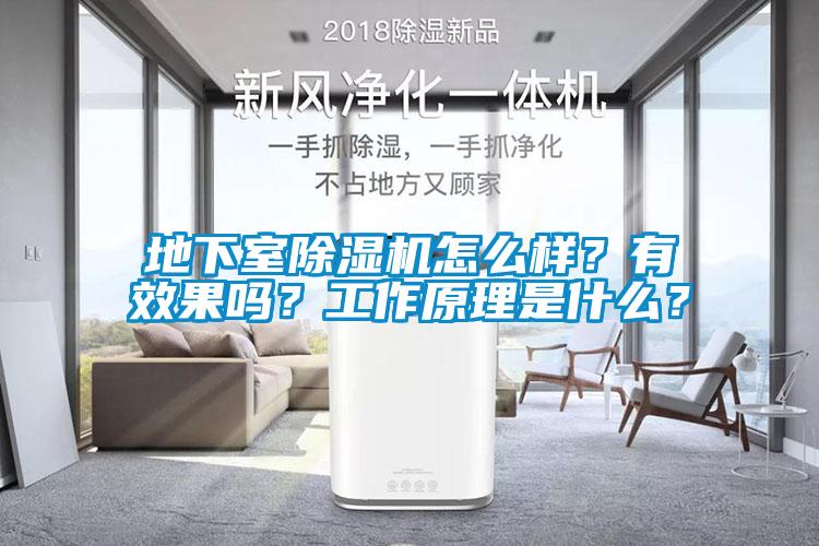 地下室除濕機怎么樣？有效果嗎？工作原理是什么？