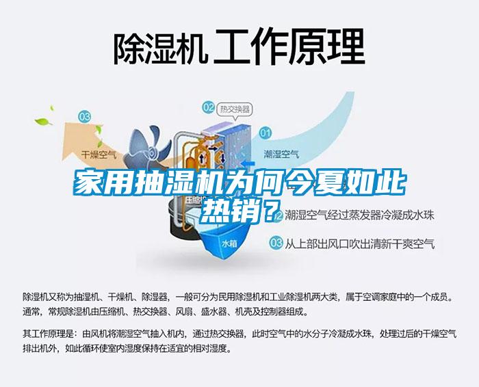 家用抽濕機為何今夏如此熱銷?