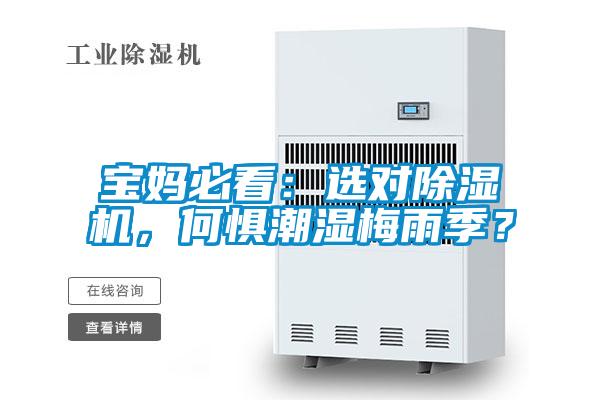 寶媽必看:選對除濕機,何懼潮濕梅雨季?