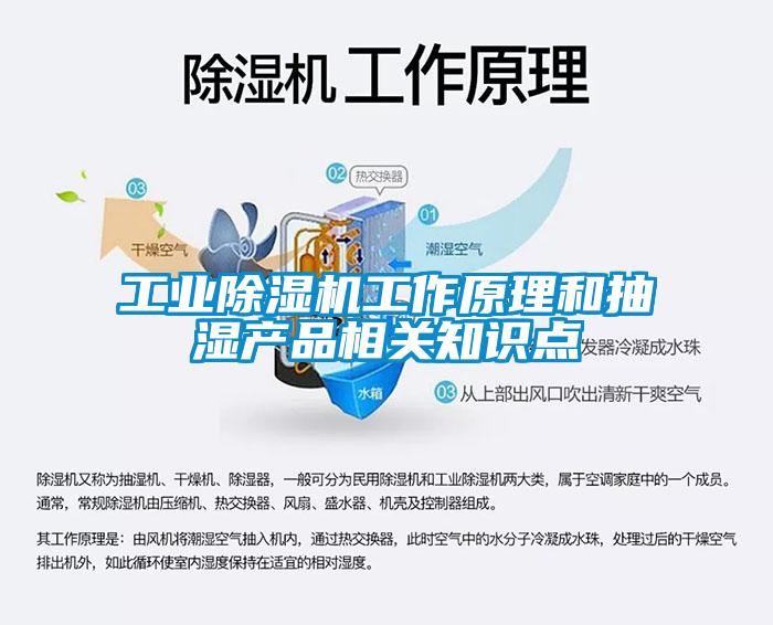 工業(yè)除濕機工作原理和抽濕產品相關知識點