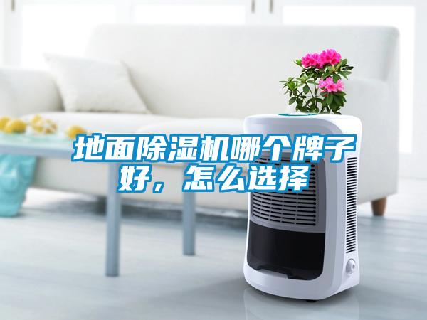地面除濕機(jī)哪個(gè)牌子好，怎么選擇