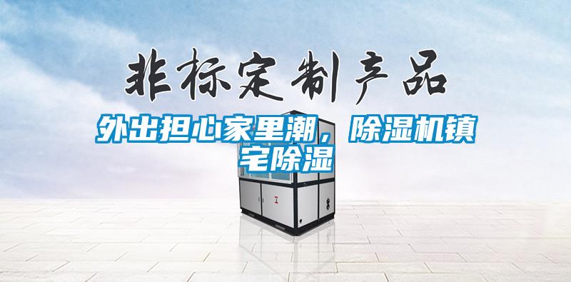外出擔心家里潮，除濕機鎮(zhèn)宅除濕