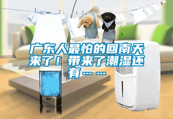 廣東人最怕的回南天來了！帶來了潮濕還有……