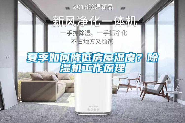 夏季如何降低房屋濕度?除濕機工作原理