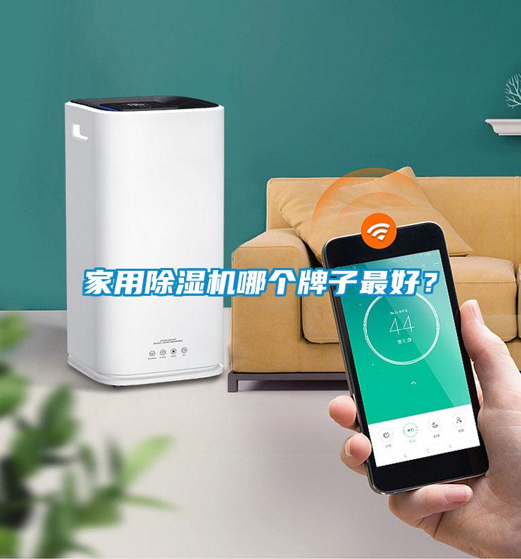 家用除濕機哪個牌子最好?