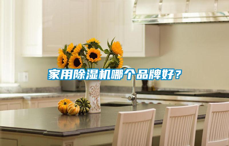 家用除濕機哪個品牌好？
