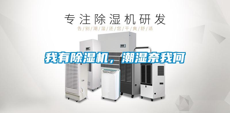 我有除濕機,潮濕奈我何