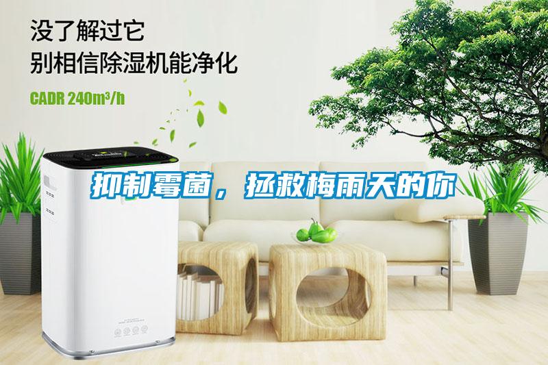抑制霉菌，拯救梅雨天的你