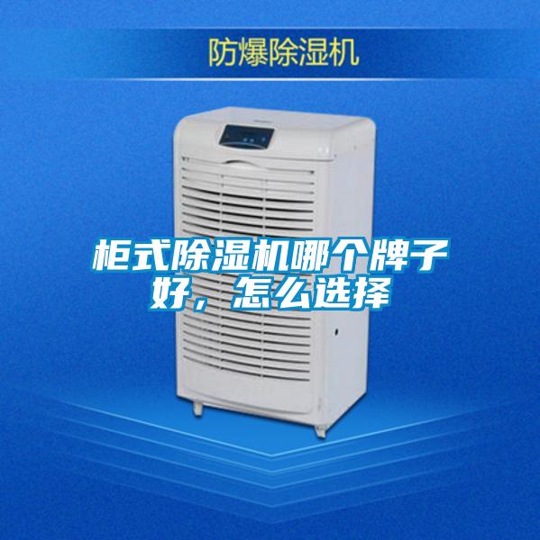 柜式除濕機哪個牌子好,怎么選擇