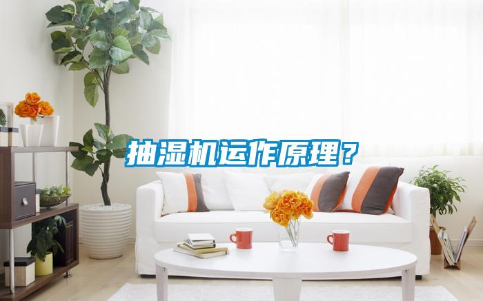 抽濕機運作原理?